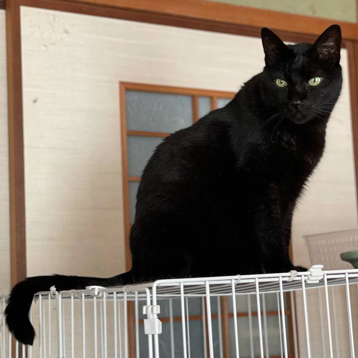 7c515fe9 c5df 4c91 b5ce d7e2a041f7df 1613267300475