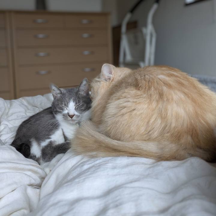 7c516ebf c4f2 42a3 a766 68c899d47c12 1761171794058