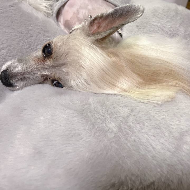 7c518aef c816 4d3f 9530 025091181dde 1760182491030