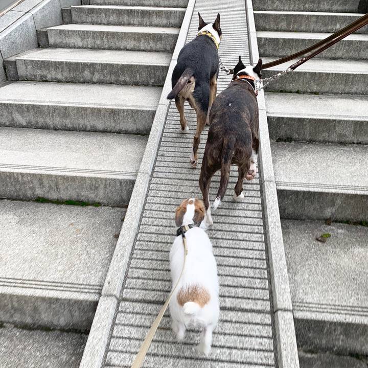 7c5191a8 0e28 49b6 93cb 17dccac6ab7b 1563707025179