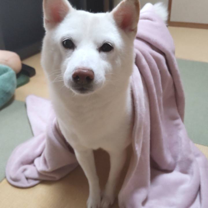 7c51b80d a729 4e34 b12e 245039c34a8e 1640219578737