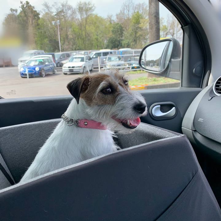 7c51c194 47c2 4b54 8f87 e254a71a8169 1617181303968