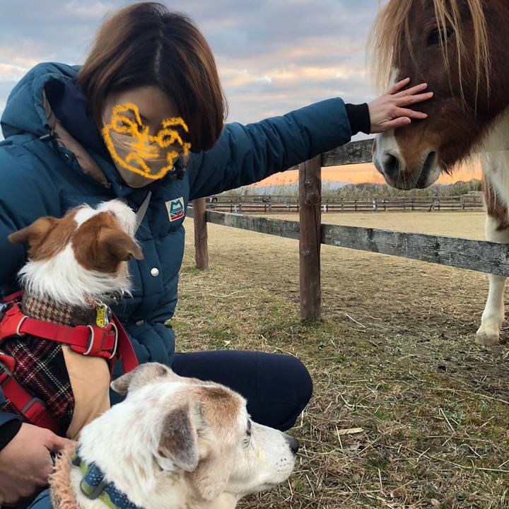 7c51cb2e 406f 4967 b1b4 8790aa0ae0a1 1672561916250