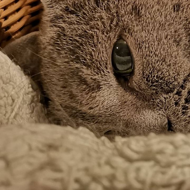 7c51ff7d 6a35 4aa0 b692 e07c1c506efa 1599393773463