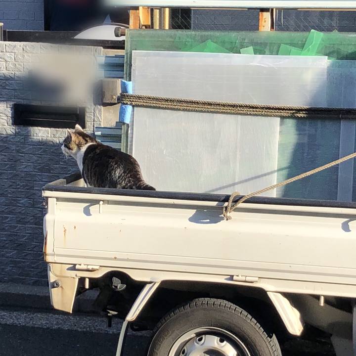 7c521930 e06f 4d7e 9d87 b408e5b556db 1524041191051