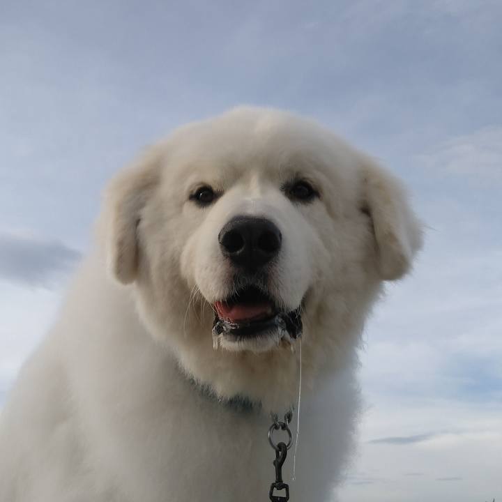 7c522b82 61f8 4a40 816d c7316a988156 1722207230071