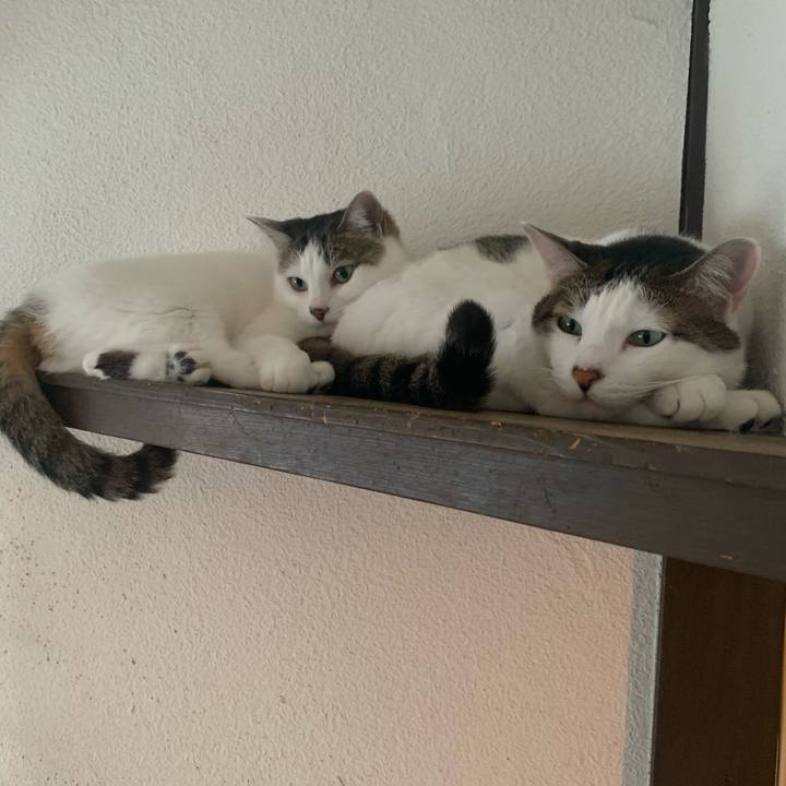 7c5249fc 90d0 4652 bba2 dc1d91215d3a 1645519745311