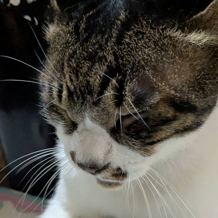 7c527e43 9ab1 4a72 b979 c6a6fb02de17 1756904711106