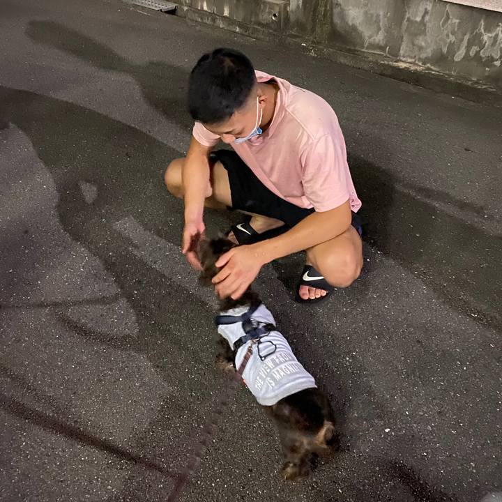 7c528650 ca6a 42a9 8544 5abfc1f14c14 1596985031772