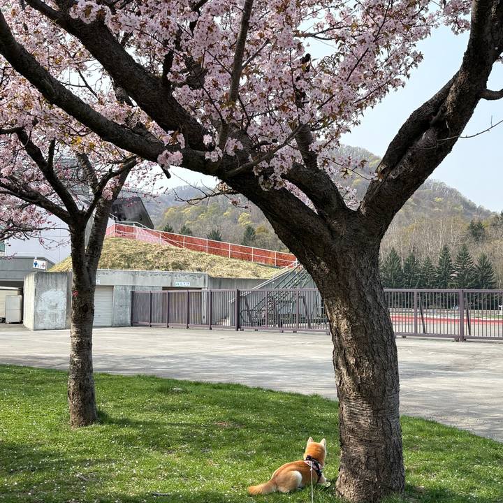 7c52b372 764a 4dea b142 24ef2acdb286 1777289957082