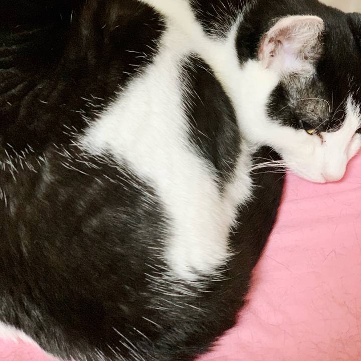 7c52b705 69f4 493c a42b 3c07ae111383 1543196877188