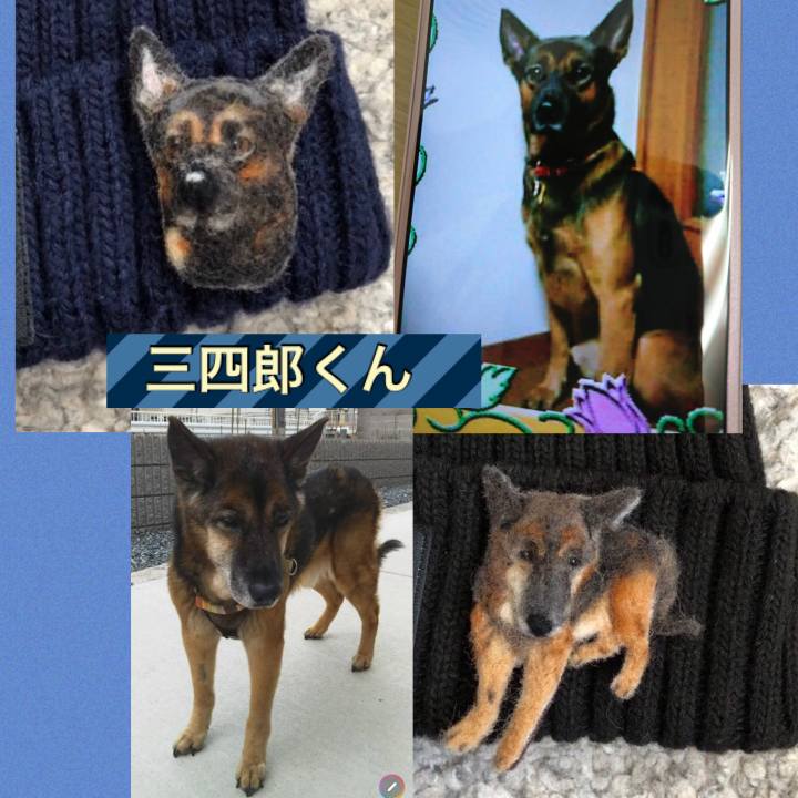 7c52c245 48c5 4ab9 bfd3 8590ae822fae 1576993100633