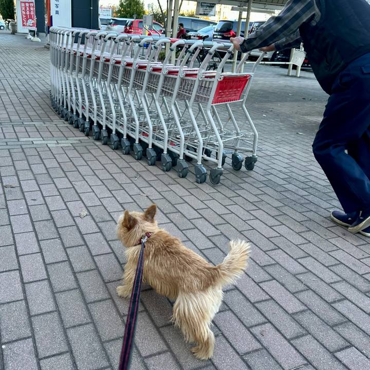 7c52ea9f f708 462b b2e0 07424280eabc 1732480819514