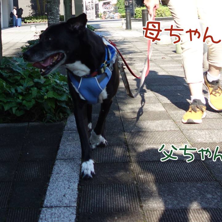 7c52fa25 60e9 4260 b216 ba069aa79fde 1721693815464