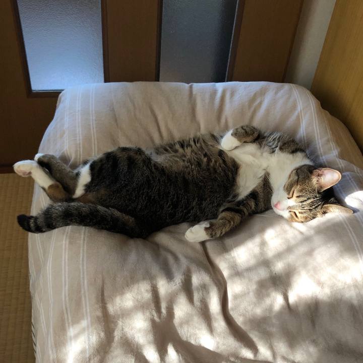 7c531871 0d20 4332 ac1b 507b3b46cf80 1603329746753