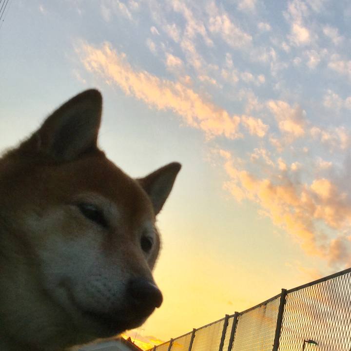 7c532465 b198 4e55 84ec f14f6bf28a9c 1578903057427