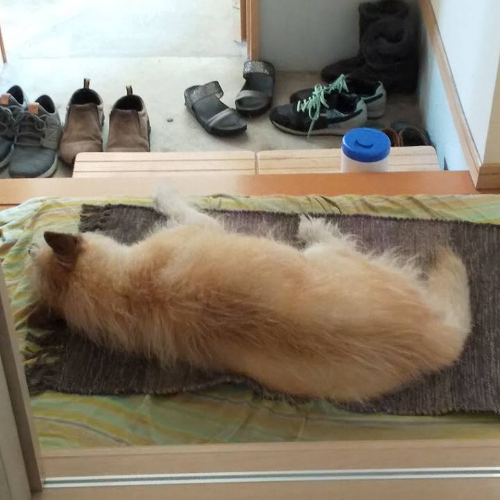 7c532d55 c0c0 4b46 8164 a657dbe53514 1561702220418