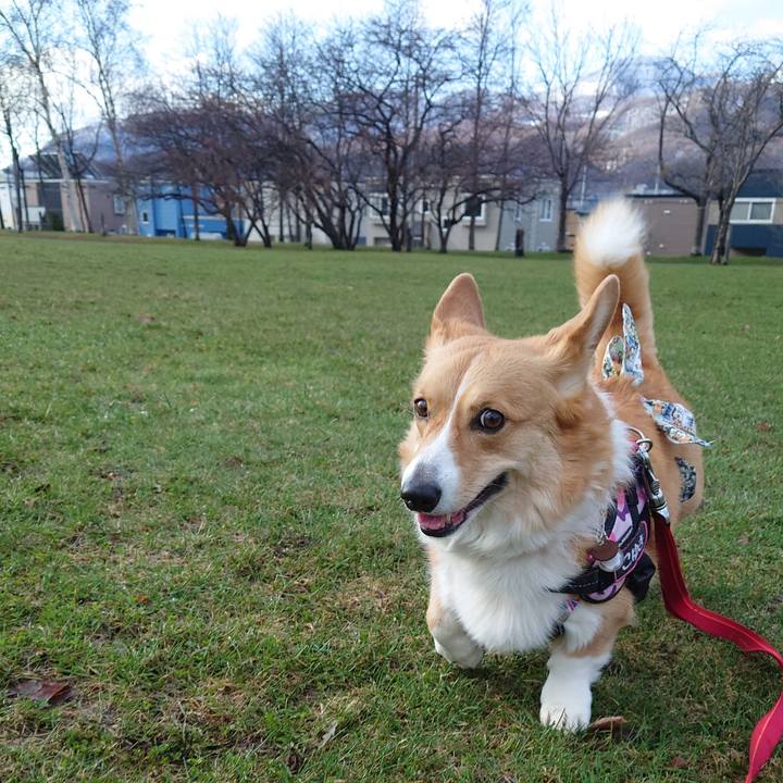 7c5346ab 4c1a 4525 8d63 7c9b9cd624fe 1775605693551