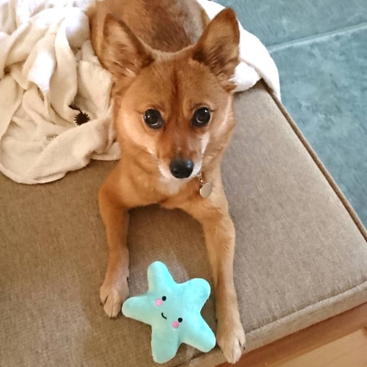 7c537eec a131 4c4a 8ea6 da664f178b9c 1522551483586