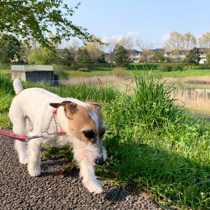 7c538590 df1f 4f90 9c51 e7a31c395d91 1586329959592