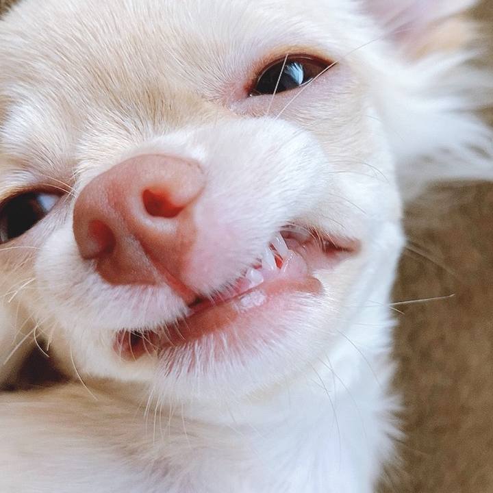 7c53a6d3 6341 4b66 9aff 6356e27ca3a4 1593768967855