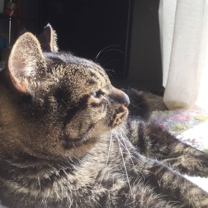 7c53a7b6 2654 48ac aa78 602ccf2d6cf5 1612613512541