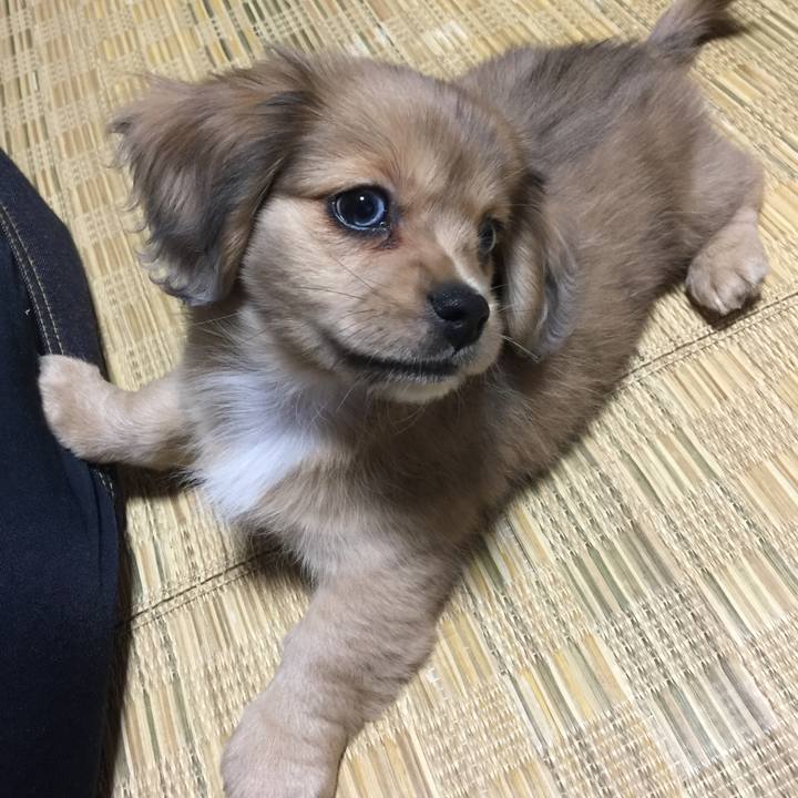 7c53aa78 3413 4fdf b988 7623b0835828 1619308806532