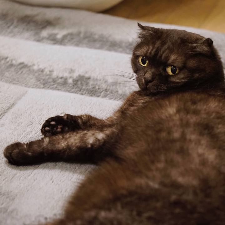 7c53aac2 4185 4af2 b40e f9e3eff379f8 1561720214278