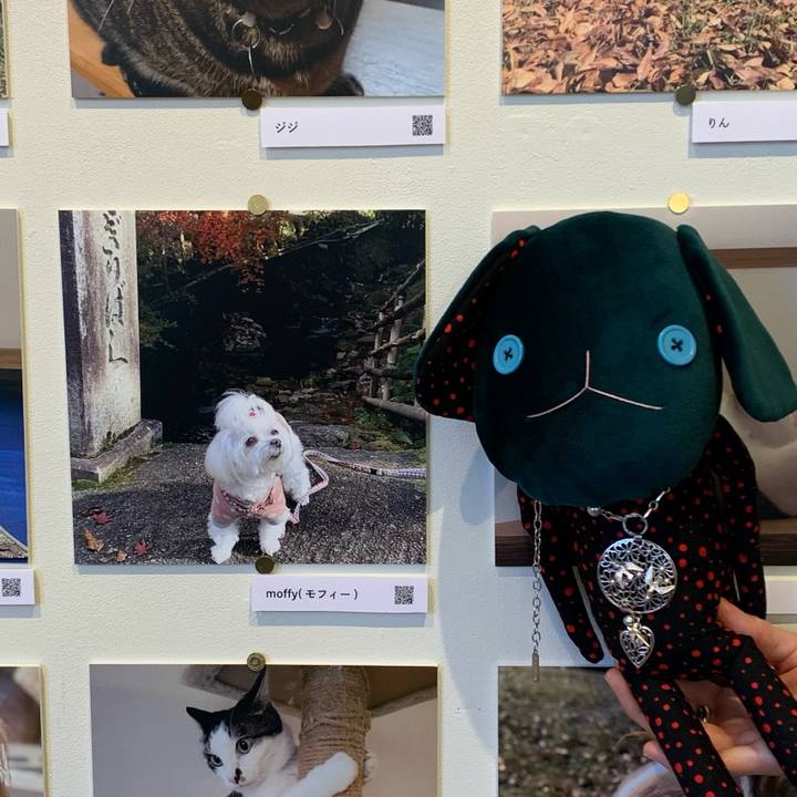 7c53ba91 e8cc 4387 bcea 93e6846dfffa 1765797578771