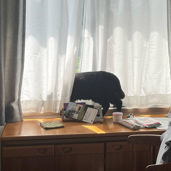 7c53ff74 7545 4ff6 af53 dcc968807779 1684888515177