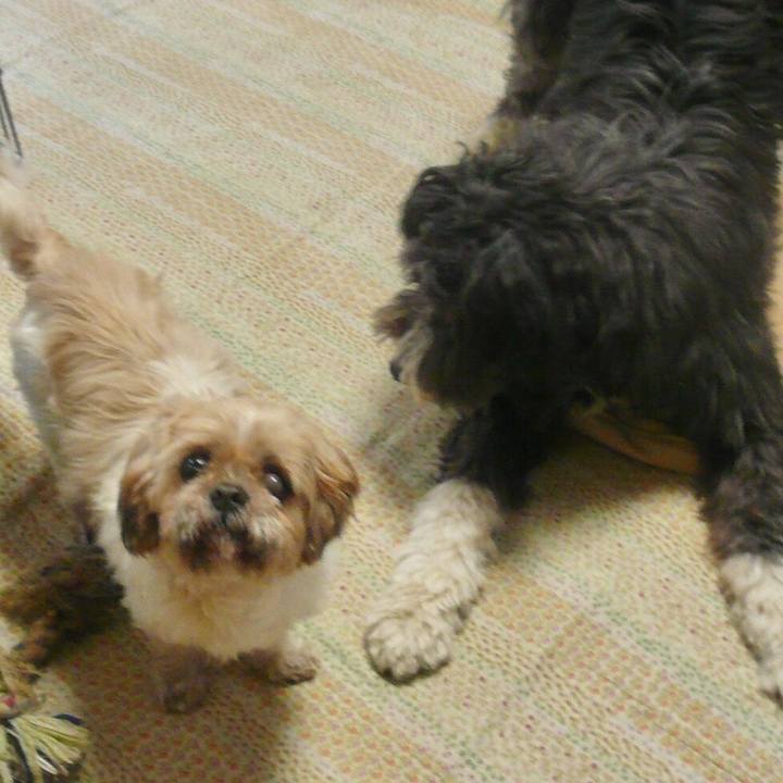 7c540aa9 501c 435f a38d dafb8ad30e87 1523101786554