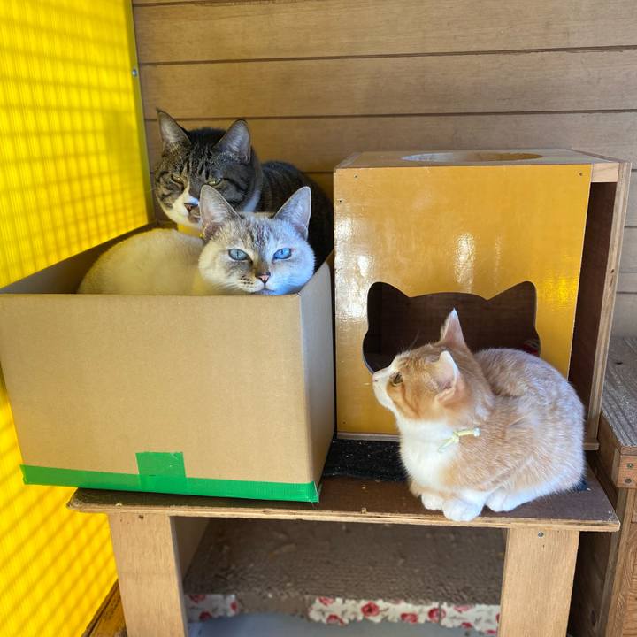 7c5432c1 8597 4add 9eb4 e0e00536aaa2 1668557013576