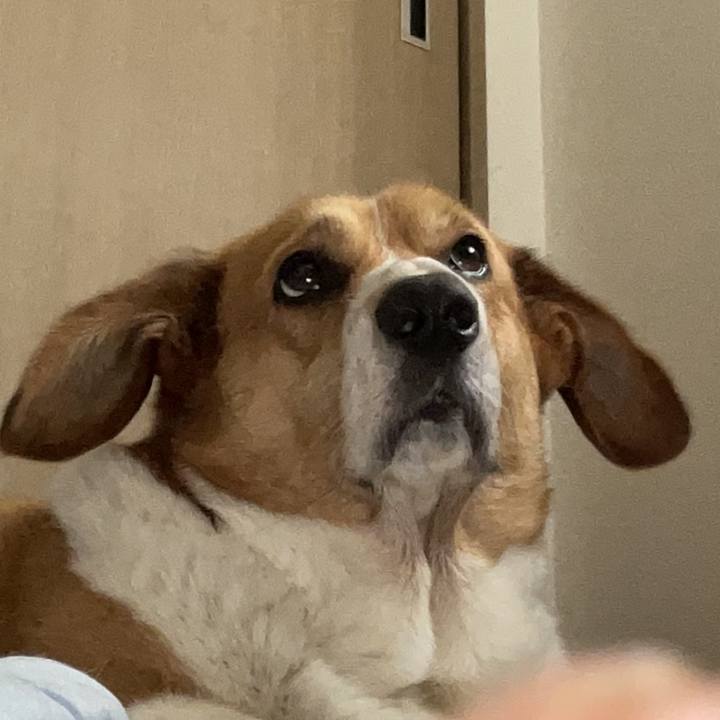 7c544d09 b13a 47d5 85a0 f8c463fc4690 1760928665902