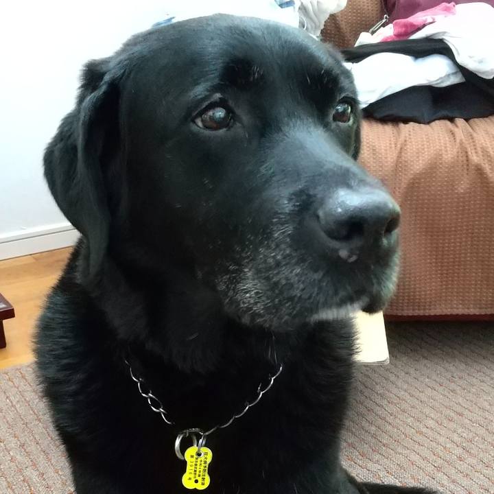 7c5497ca 7744 47e9 9866 04da07c3d89f 1691804771247