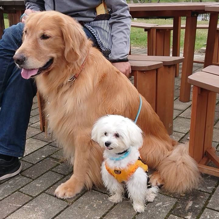 7c54b18b 2e17 469c a144 fbe39093ad4b 1570494430299