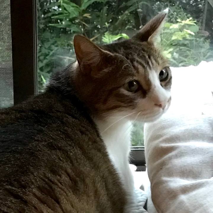 7c54daa0 1acf 4416 89ab ca50533523d7 1534922066074