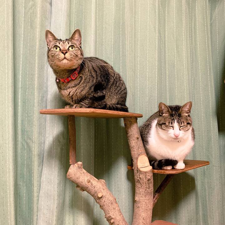 7c54eb41 e247 4721 b644 e3c1560faa99 1543813402999