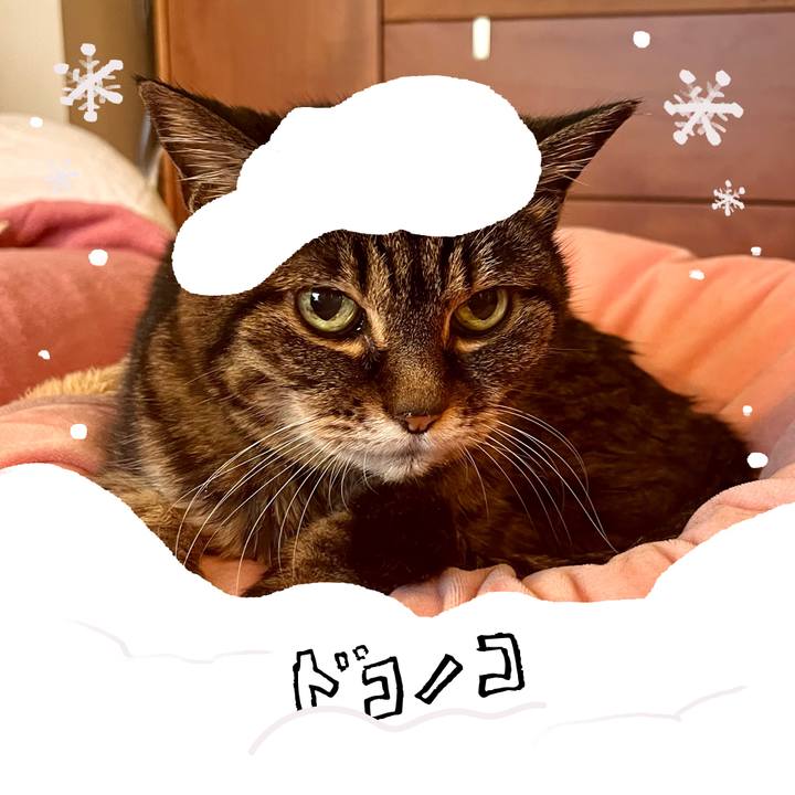 7c54ee7d 375b 483e 9976 4148de6f9b90 1771936056485