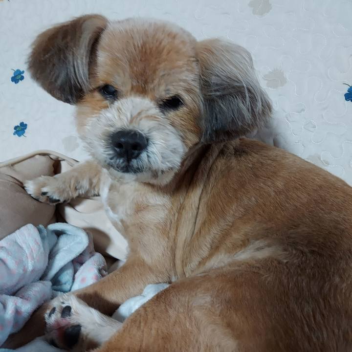 7c54f111 9422 41ae a278 1d1b870ff362 1652393434592