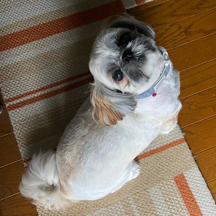 7c552039 1212 401d 91f4 cbd628742977 1662168401613