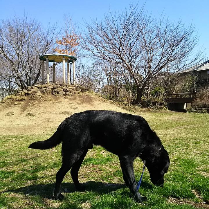 7c55431d c4fc 480b a8c4 4fd1a46c596e 1741992091717