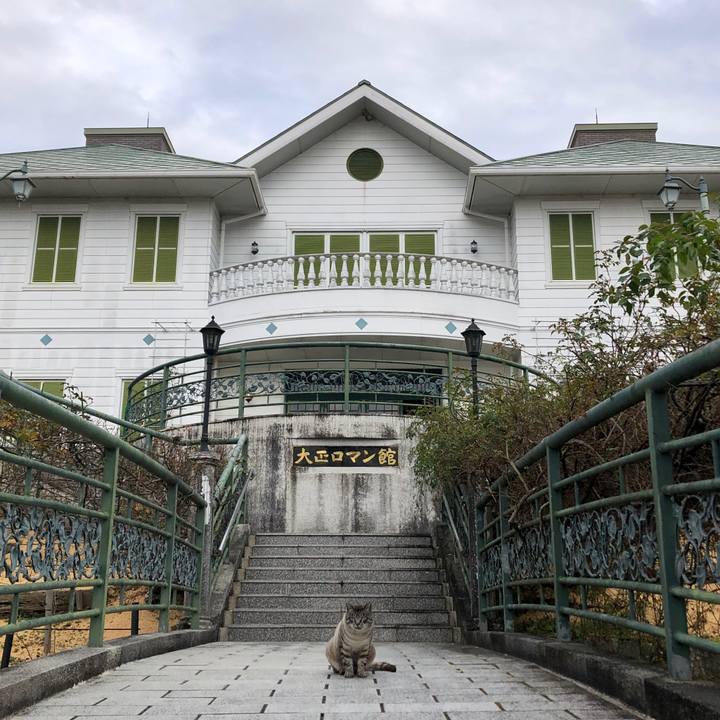 7c556de3 474a 4e32 9c4f 0163ac17de06 1543387959098