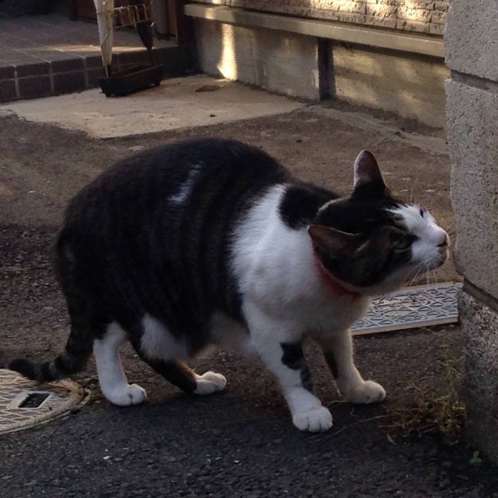 7c558145 ac6d 4b26 963e 1895a70c8cbf 1509718591705