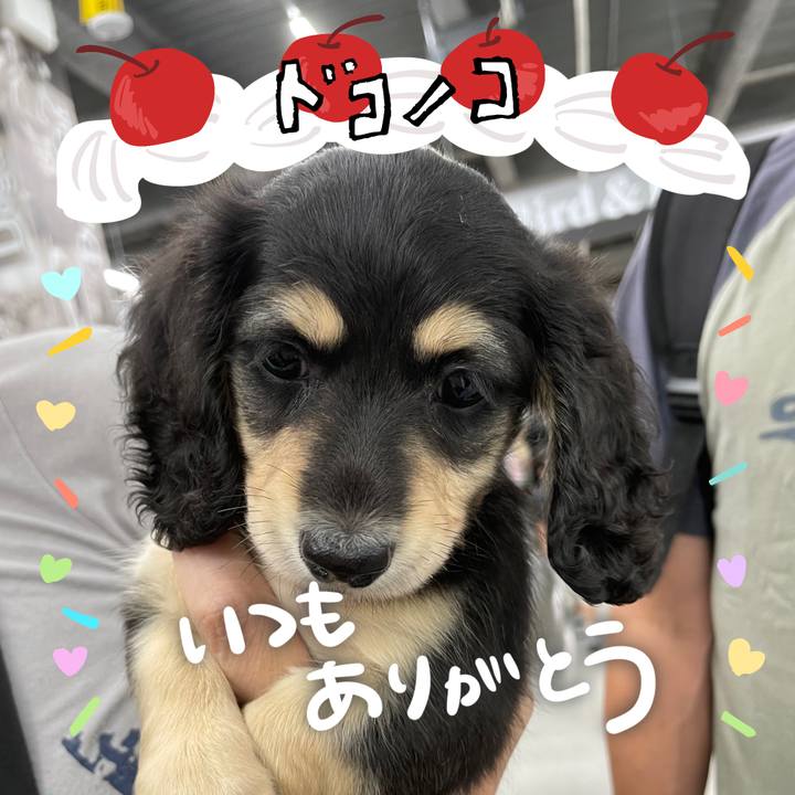 7c55a8d2 b1c0 4a5a bf1a 796006bb9fca 1685940472604