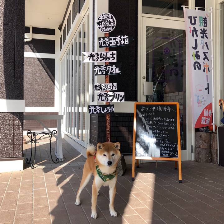 7c55ec73 1636 4706 b9a9 3fad0c744dc5 1550737719692