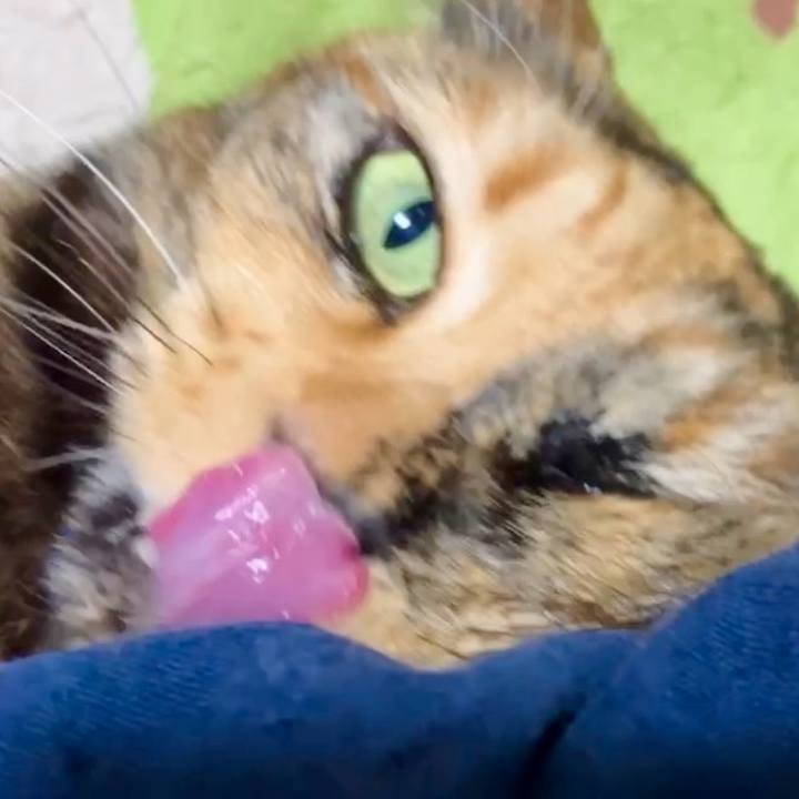 7c55f3ac 9bda 430e 9394 3fab88011b47 1739303106960