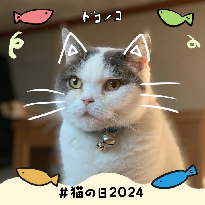 7c562aef ef1f 4c89 86d4 21e0a7103d47 1708530484331