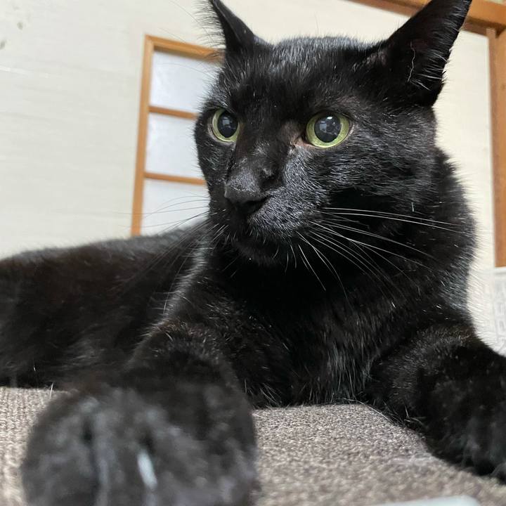 7c563d94 ef8a 4bcc a873 0a2cf49bda6c 1634085626060