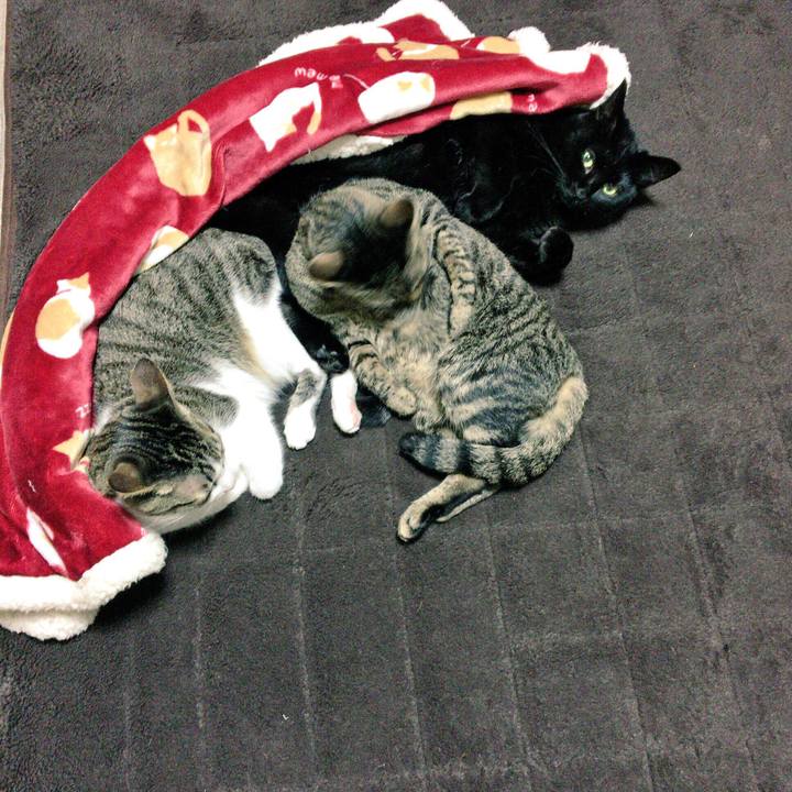 7c564717 720b 4058 8785 250bc32cbc2a 1513336814172