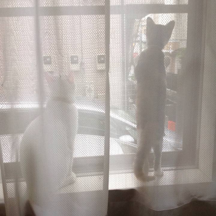 7c56542c bdf3 4fb6 98f5 bfde4e766ae1 1628370058894